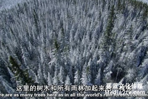 紀(jì)錄片解說詞的作用 紀(jì)錄片解說詞的作用