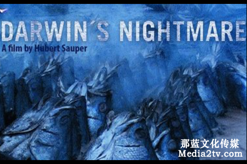 紀(jì)錄片是什么？