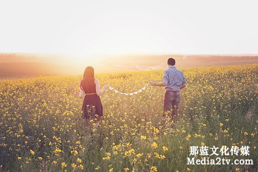 微電影在廣告市場上的優(yōu)勢