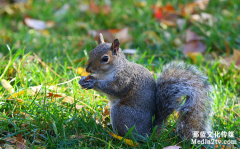 高校招生宣傳片如何策劃