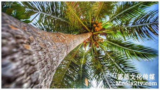 旅游宣傳片怎么做