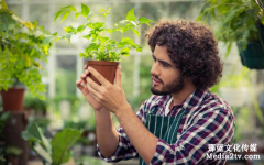 國內(nèi)外創(chuàng)意企業(yè)宣傳片的差別