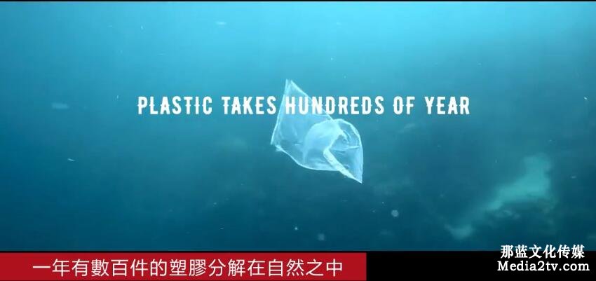 尊重海洋從現(xiàn)在做起MTV