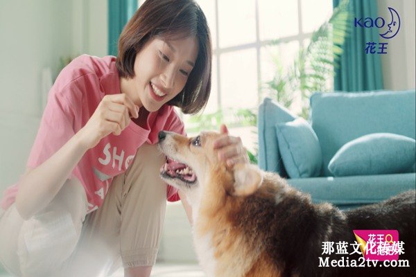 產(chǎn)品宣傳片制作及腳本策劃