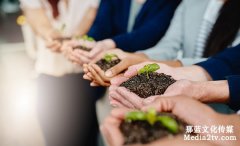 “碳排放”、“碳達峰” 環(huán)保行業(yè)宣傳片拍攝制