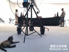 家具企業(yè)宣傳片拍攝根據(jù)需求制作