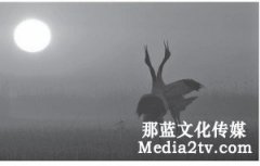 主旋律紀(jì)錄片國(guó)家形象的國(guó)際化傳播探究