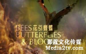 紀(jì)錄片部落-高清紀(jì)錄片下載:紀(jì)錄片的字幕效果怎么設(shè)計(jì)？