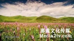 紀(jì)錄片怎么安排敘事時(shí)間的順序？