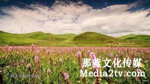 紀(jì)錄片部落-高清紀(jì)錄片下載:紀(jì)錄片怎么安排敘事時(shí)間的順序？