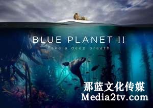 紀(jì)錄片部落-高清紀(jì)錄片下載:紀(jì)錄片制作的經(jīng)費(fèi)預(yù)算說明