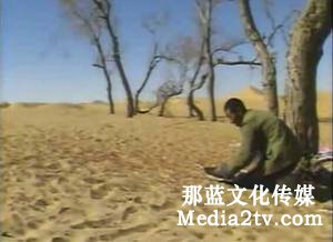 紀(jì)錄片部落-高清紀(jì)錄片下載:中國紀(jì)錄片的發(fā)展壯大時期