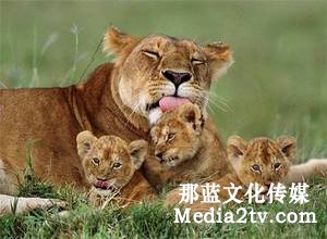 紀錄片部落-高清紀錄片下載:變速鏡頭在紀錄片中的作用