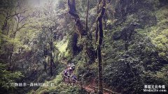 紀(jì)錄片萬(wàn)物滋養(yǎng): 進(jìn)山