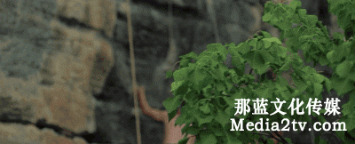 我有長焦航拍！地上的蛇矛短炮，哆嗦吧...